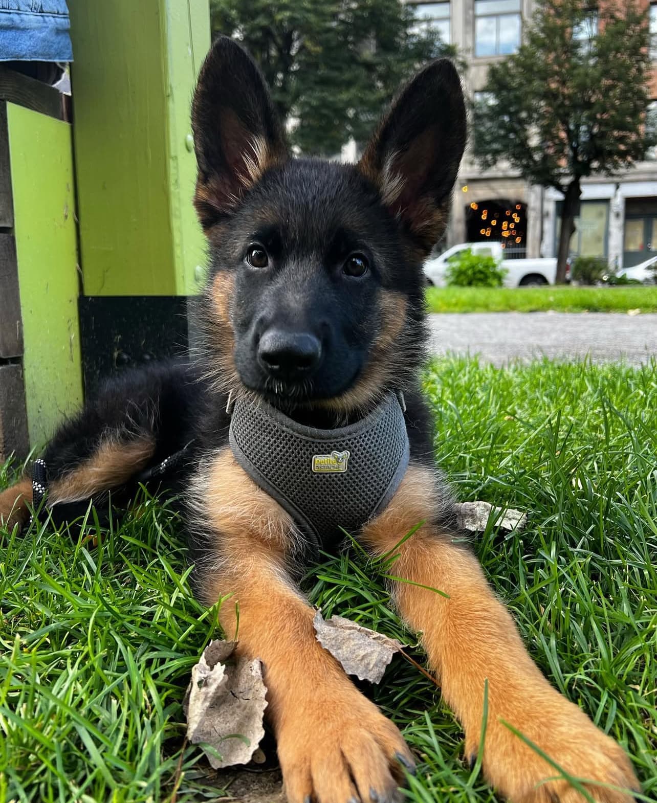 Hunter