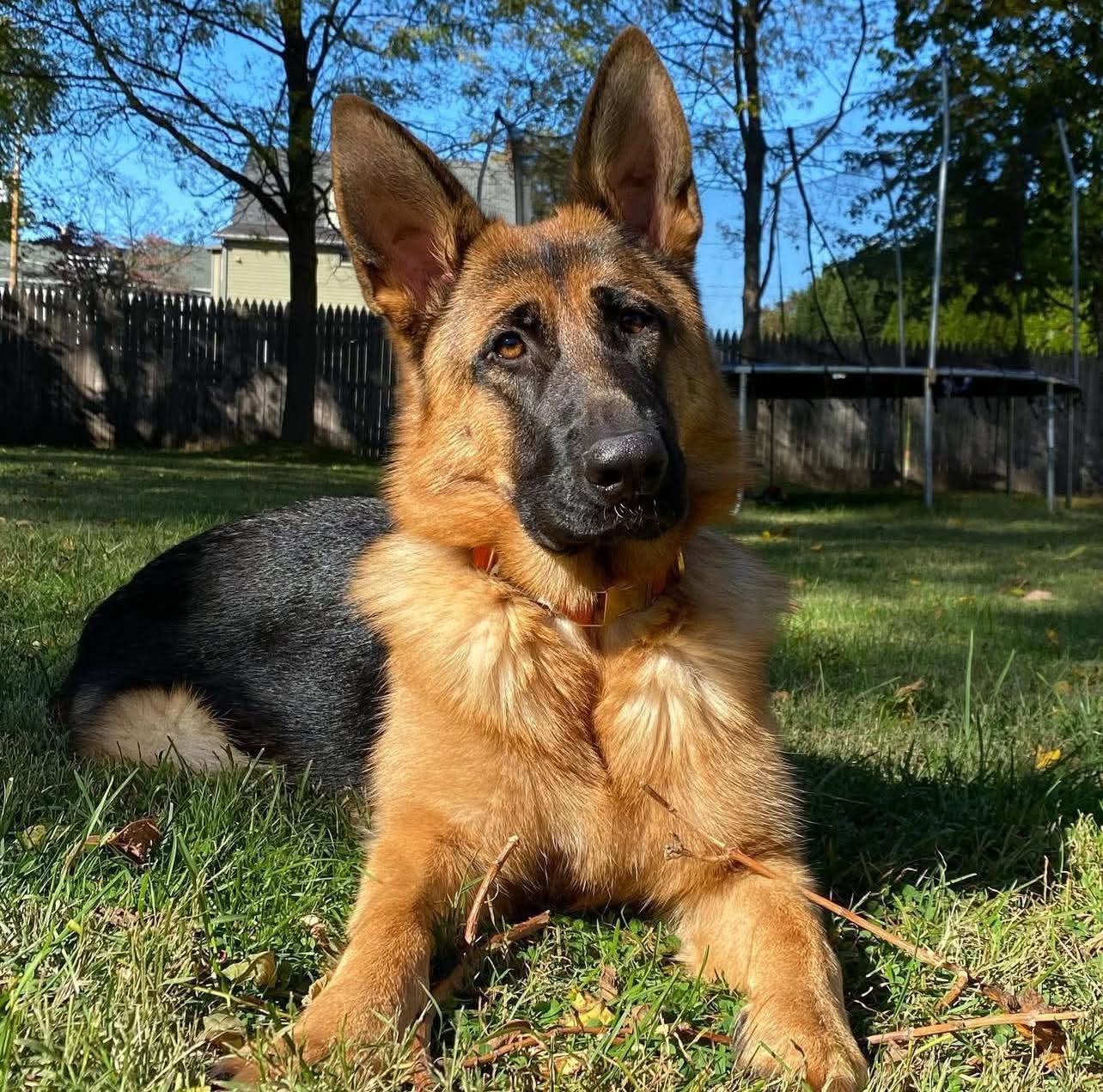 Xena